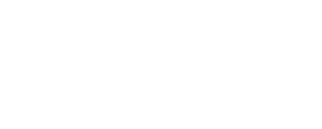 THE ORCHID